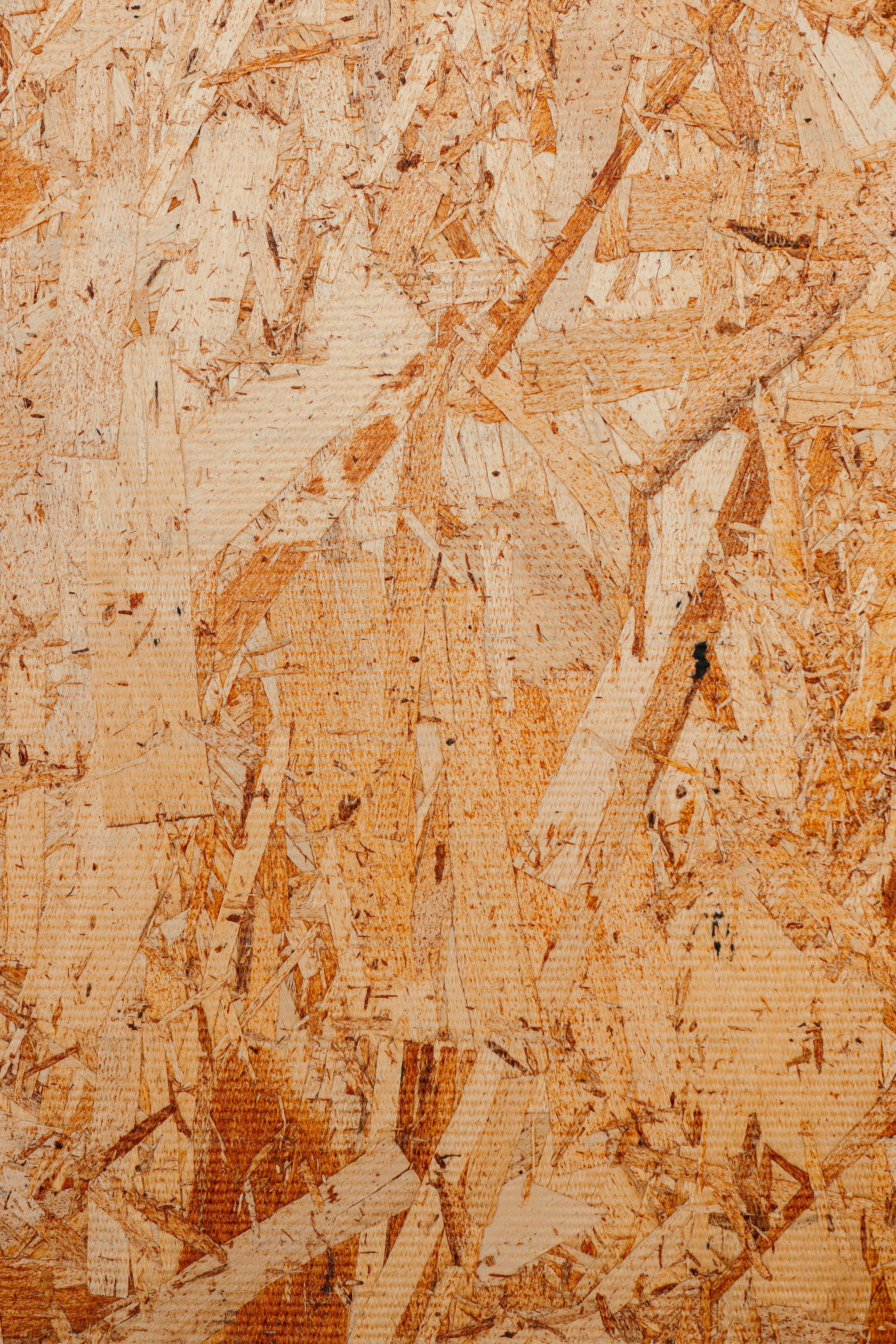 Gros plan d’un morceau de bois