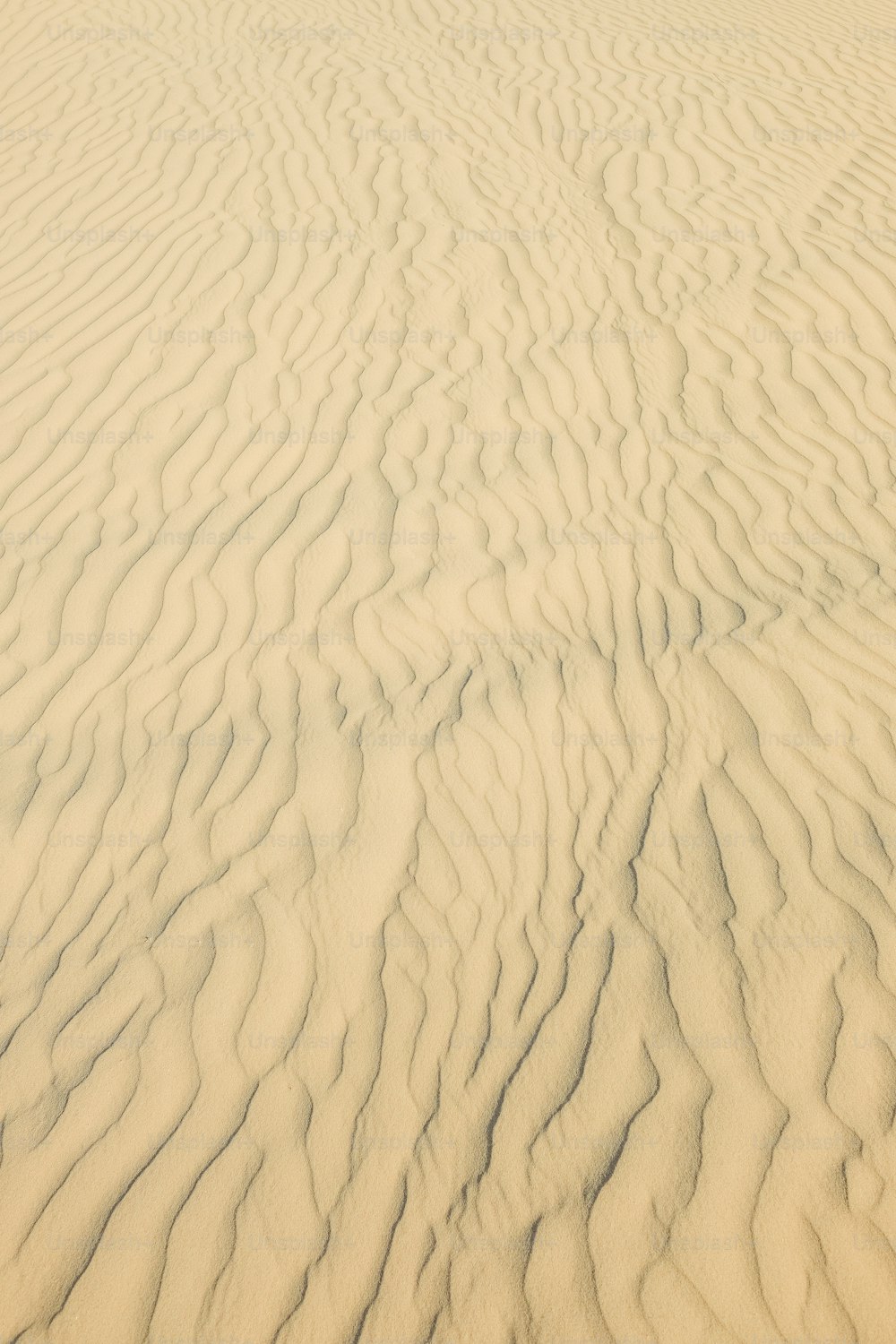 Un primer plano de una duna de arena