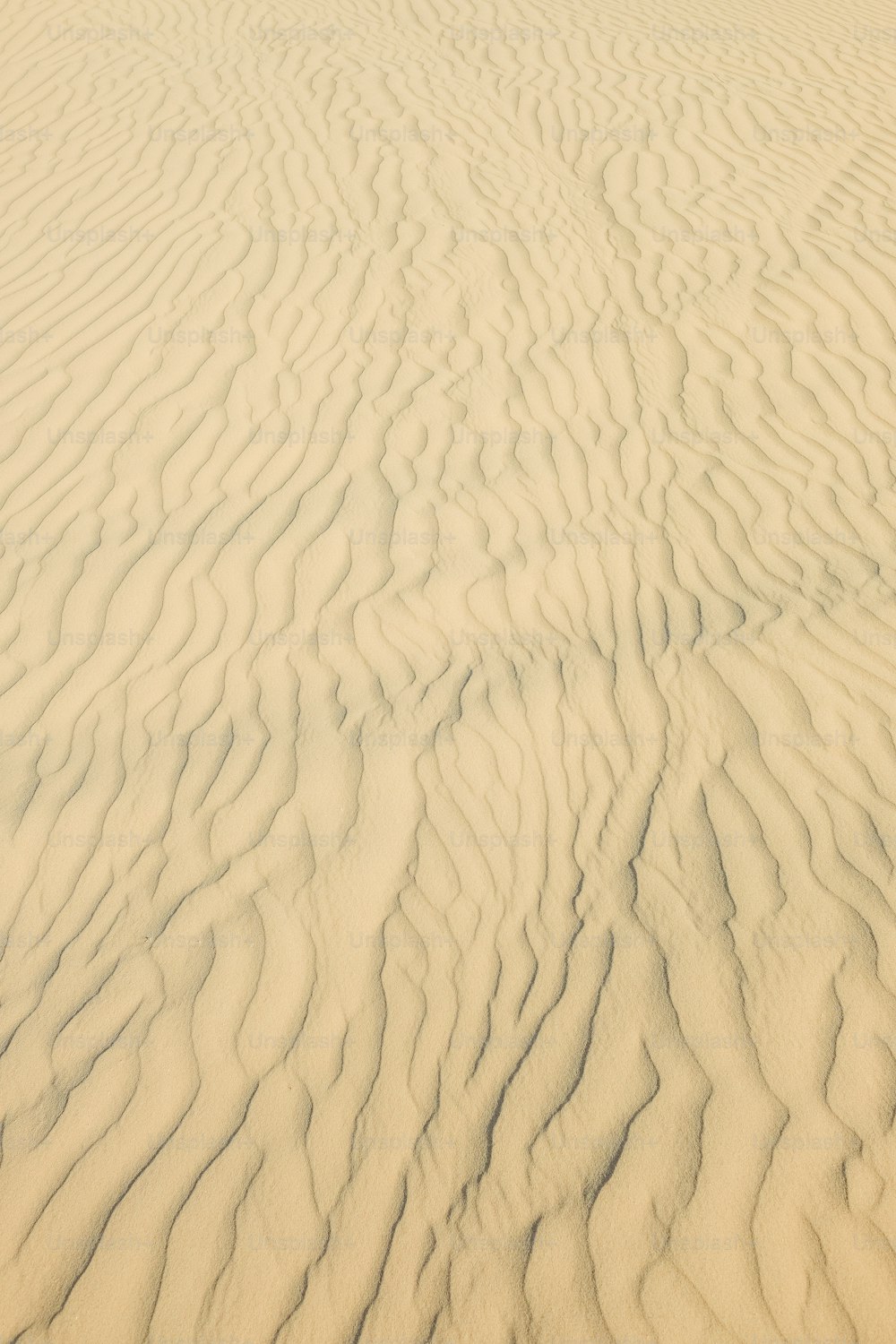 a close up of a sand dune