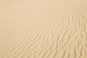 Gros plan d’un sable blanc