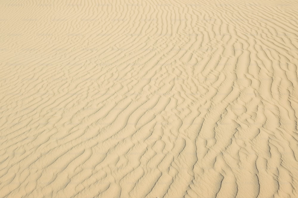 白い砂のクローズアップ