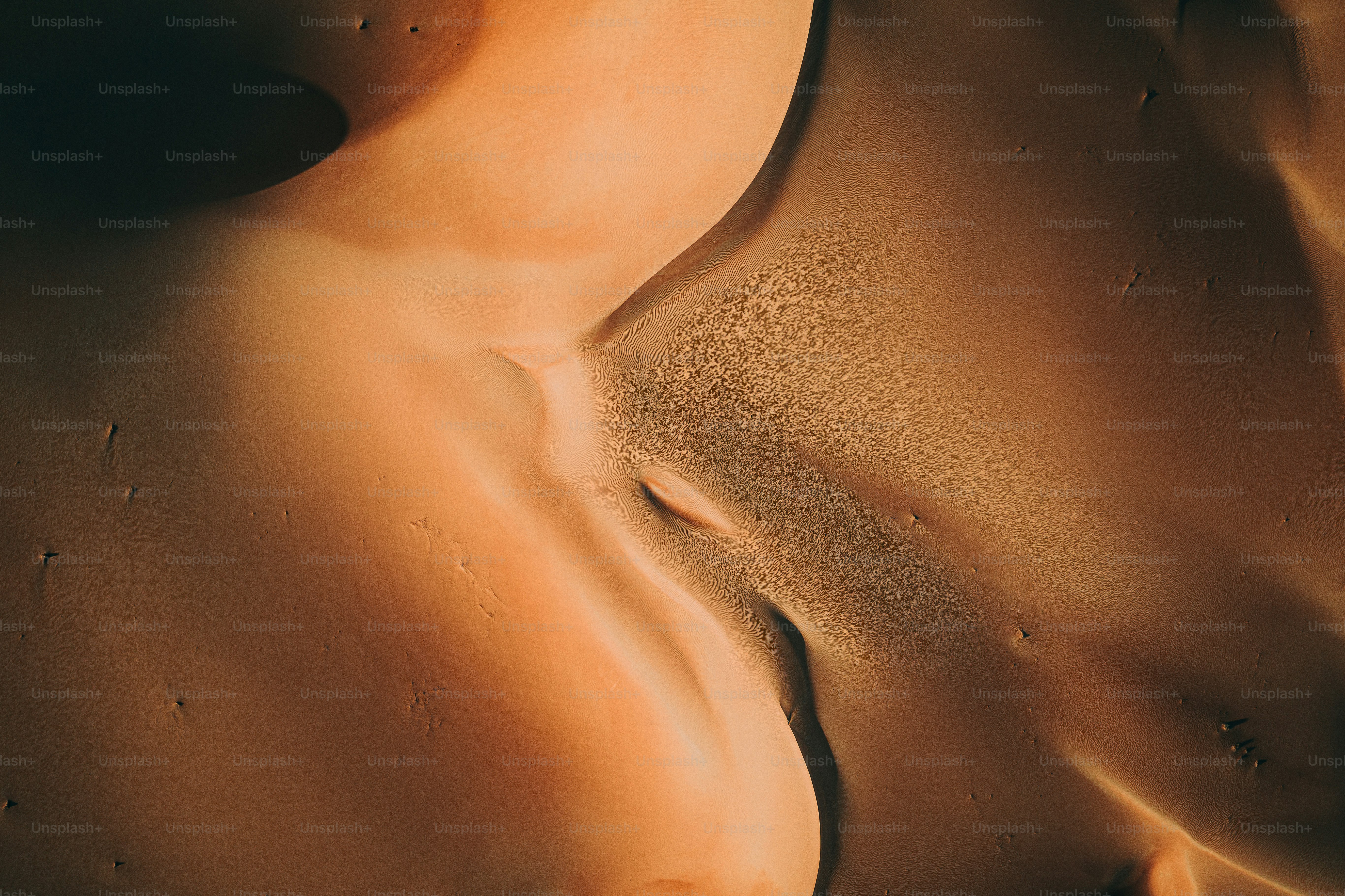 premium_photo-1669986680764-6565397d0f08?ixid=M3wxMjA3fDB8MXxzZWFyY2h8MXx8bnVkZSUyMHNlY3xlbnwwfHx8fDE3NDcwMjIzMzJ8MA\u0026ixlib=rb-4.1.0
