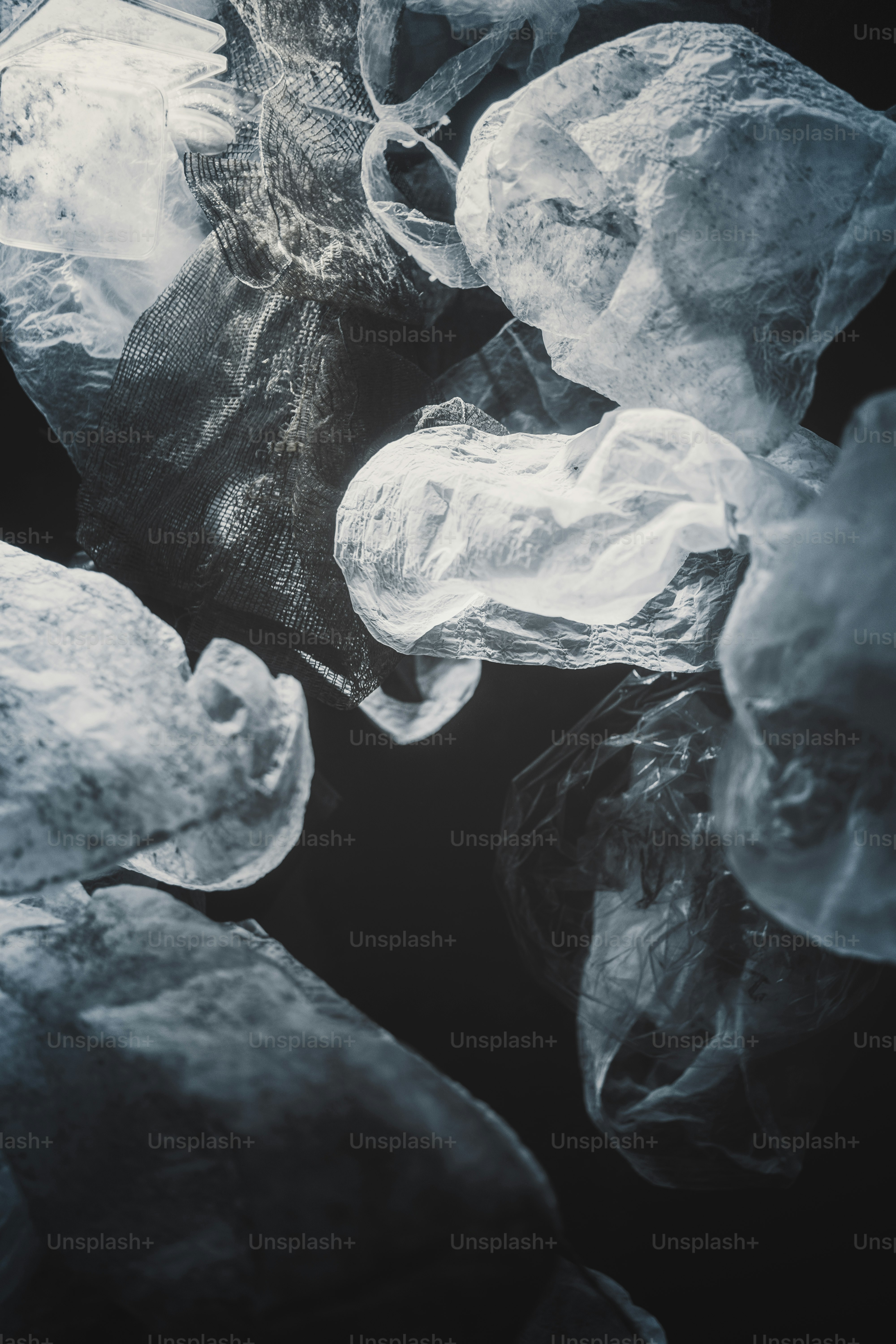 close-up of several rocks
