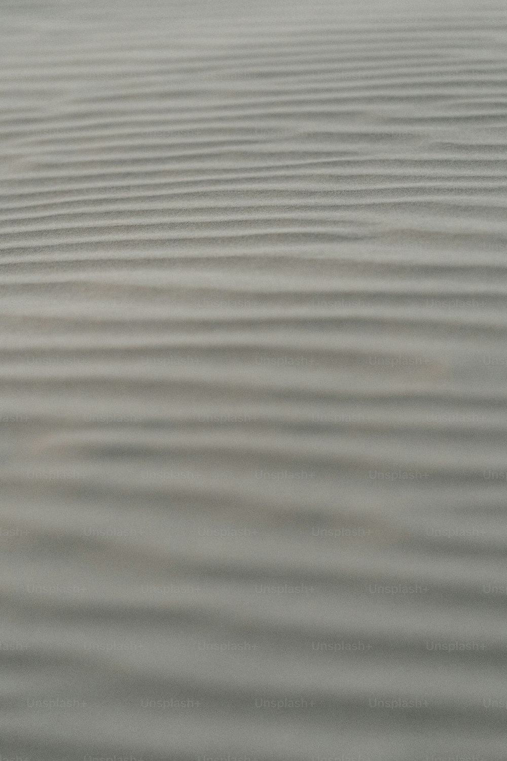 a close up of a wood surface