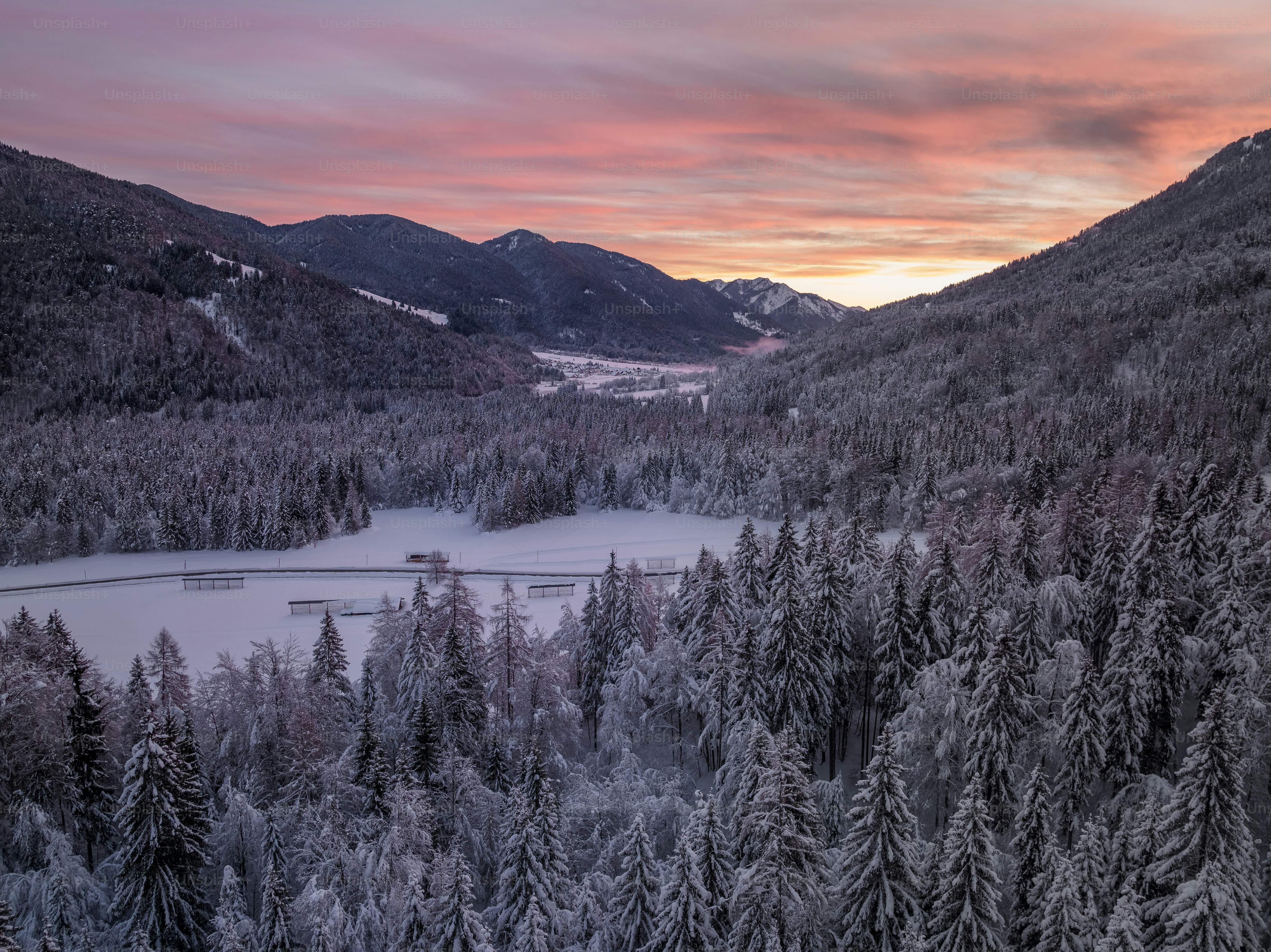 une rivière entourée d’arbres et de montagnes