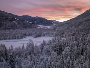 a river surrounded by trees and mountains