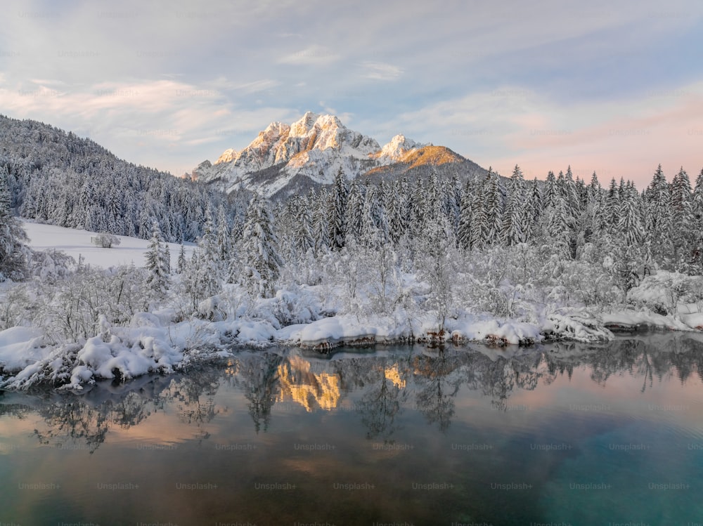 a snowy mountain with trees and water