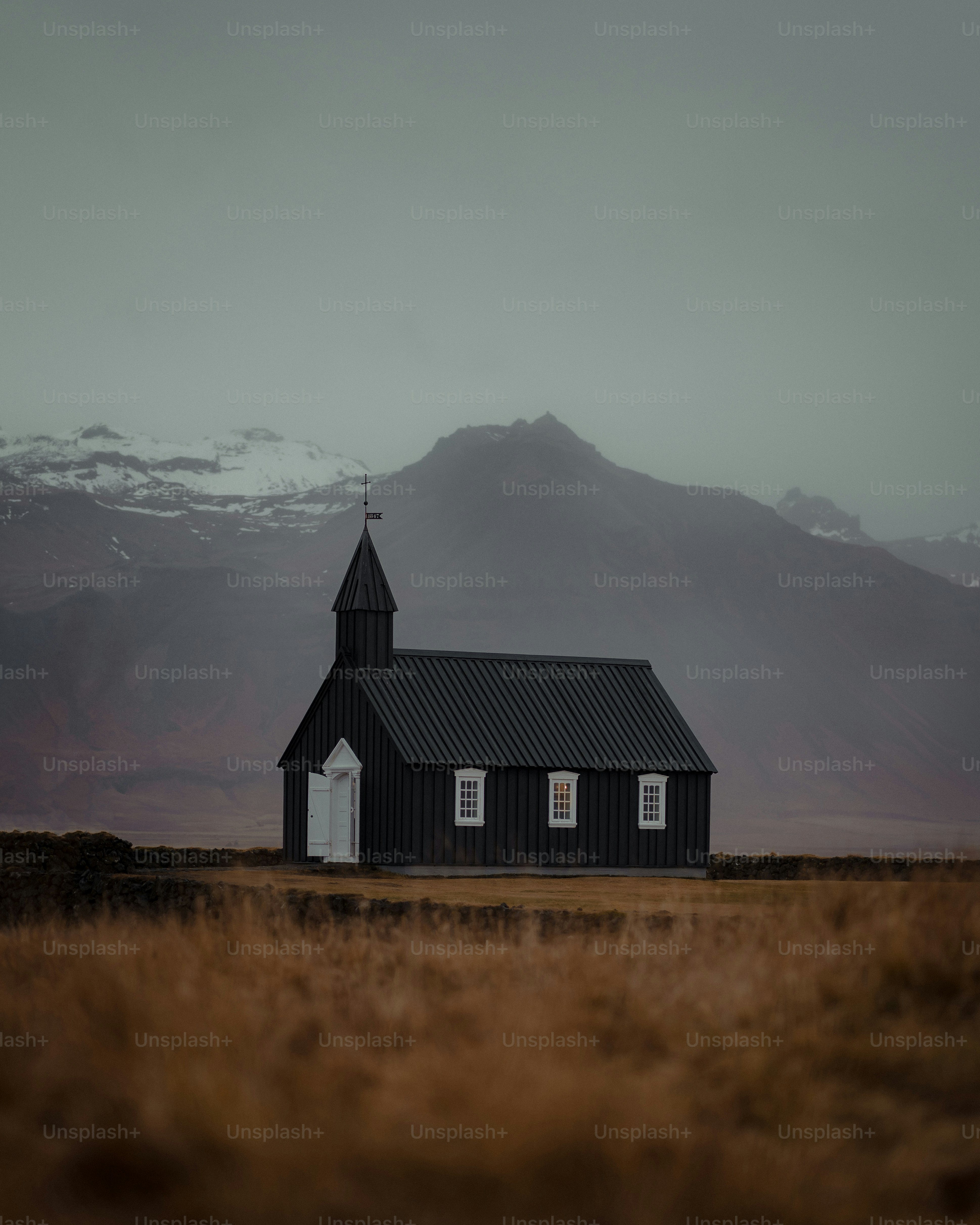 premium_photo-1669994561704-9e0e070ce724