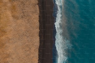 Une plage avec des vagues