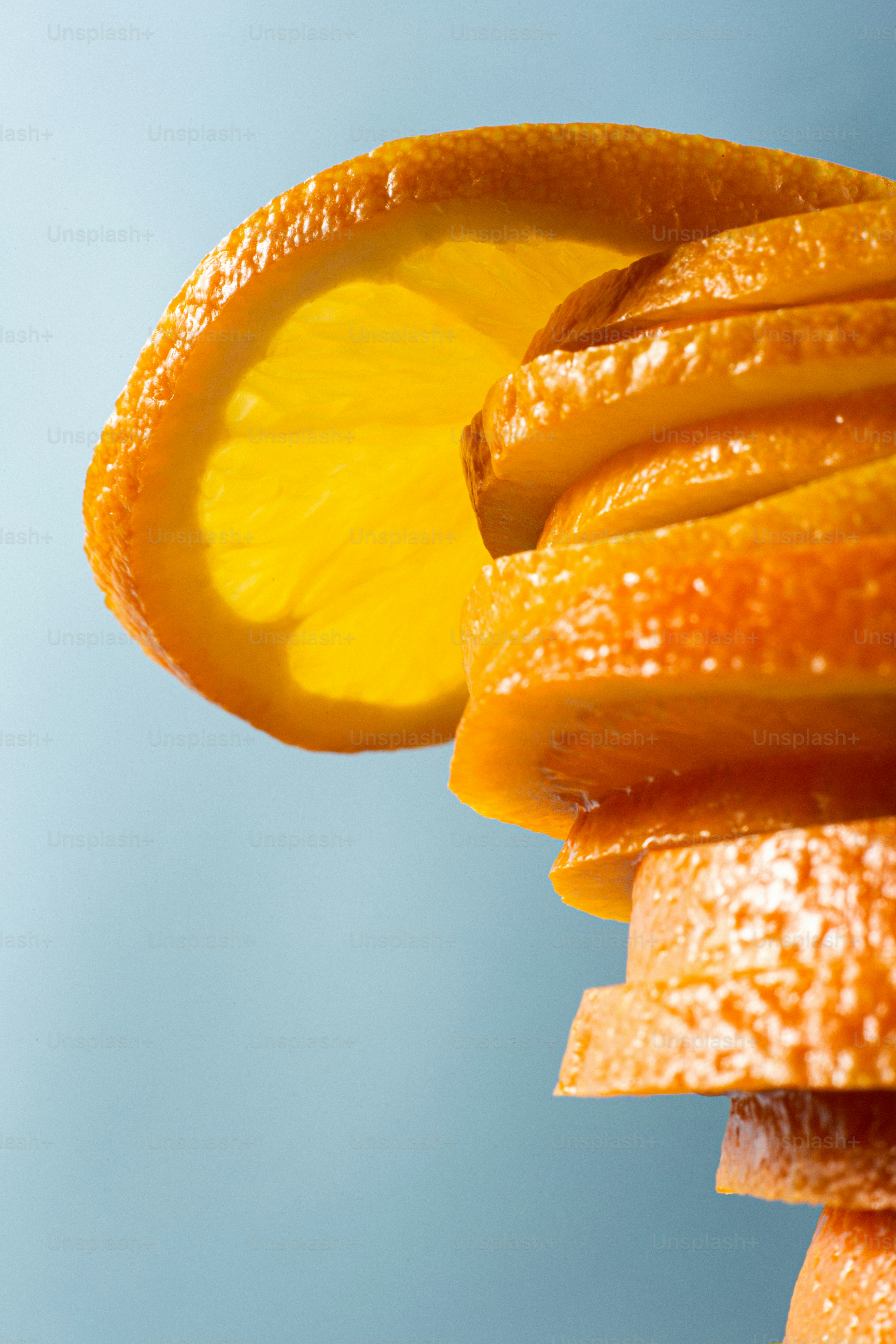 a close up of a sea shell