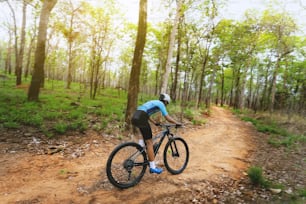 Mountain biker cyclists training in the forest