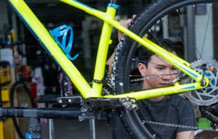 Bike technician checking chain and sprocket