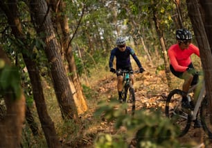 Group of Asian cyclists, they cycle through rural and forest roads.