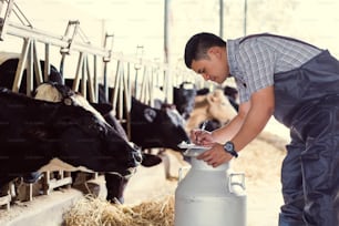Les agriculteurs enregistrent les détails de chaque vache à la ferme.