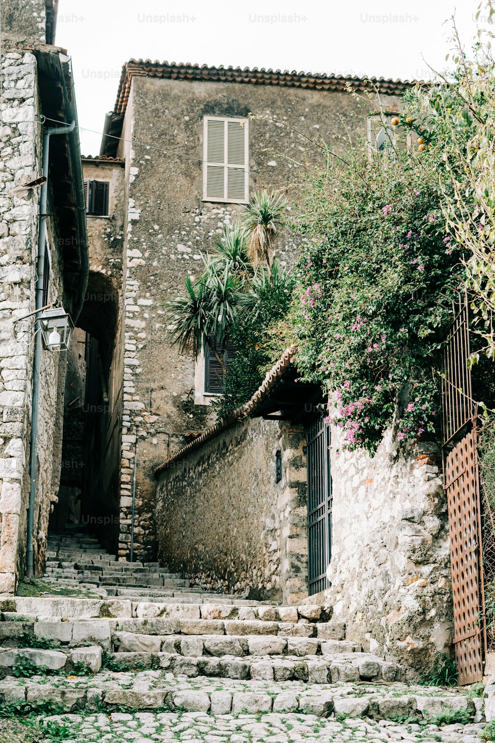 a stone building with plants growing on it