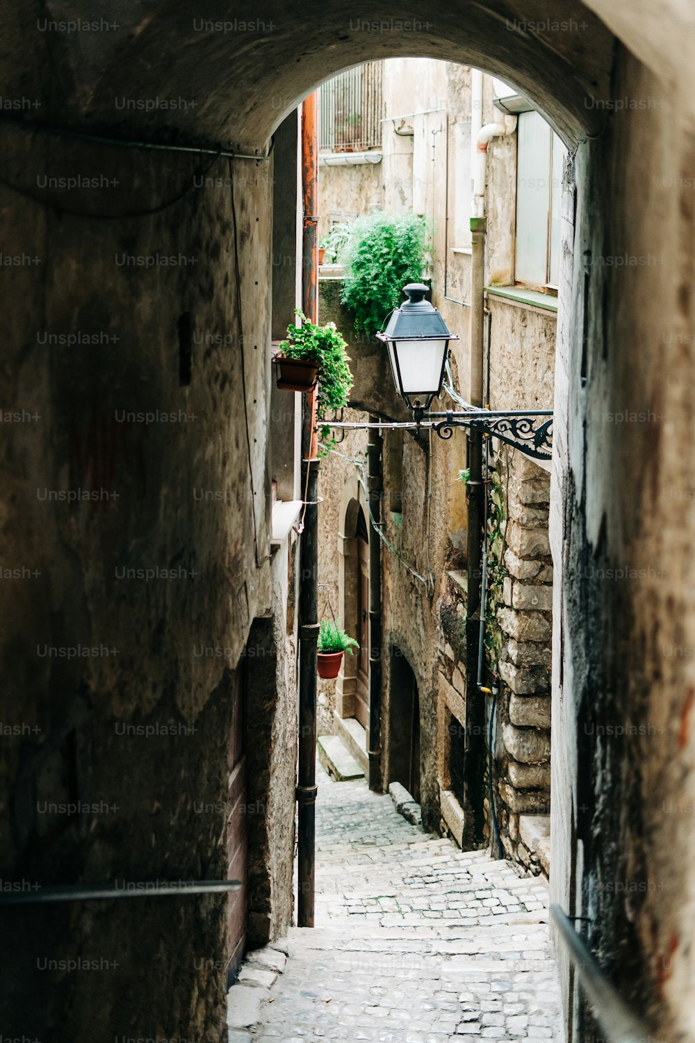 a narrow alley way with plants on the sides