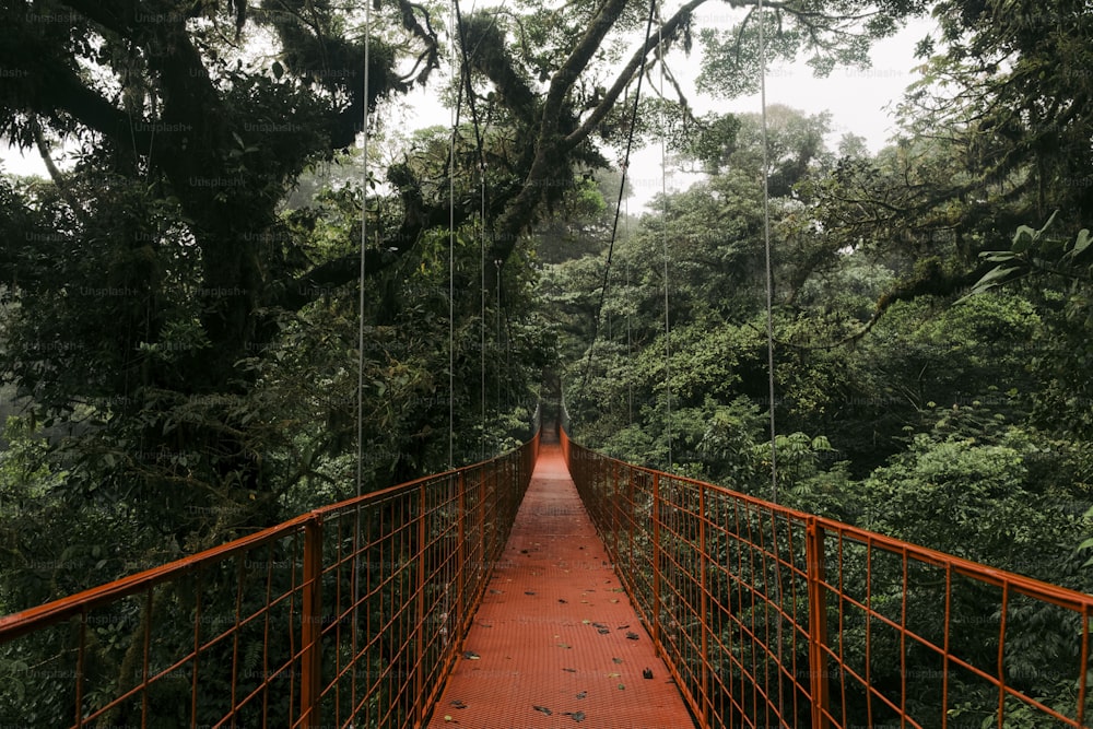 a red bridge in the woods