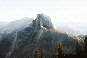 a mountain with trees on it