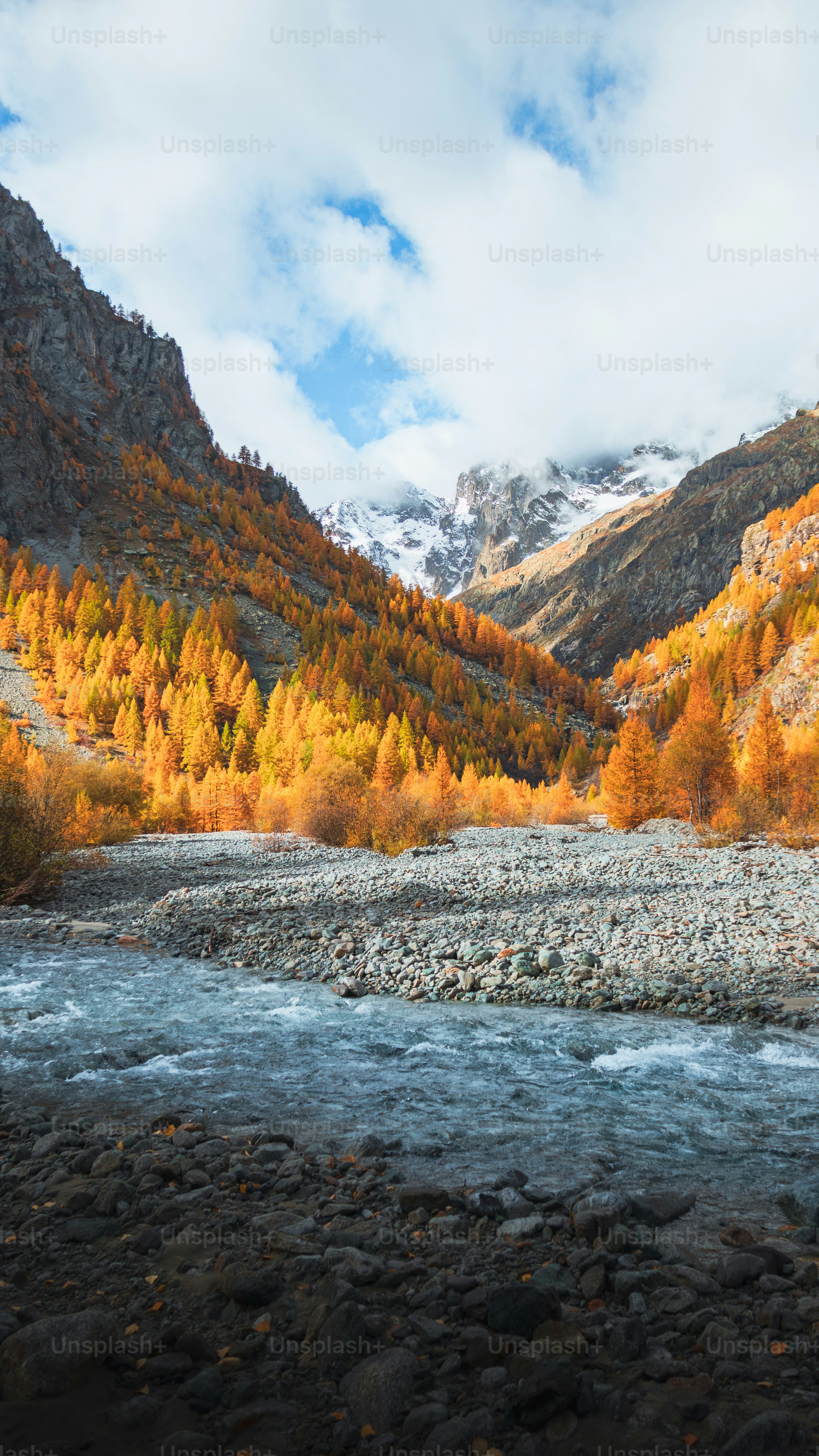 Ein Fluss, der durch einen Wald fließt
