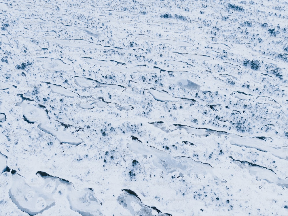 une grande surface de neige