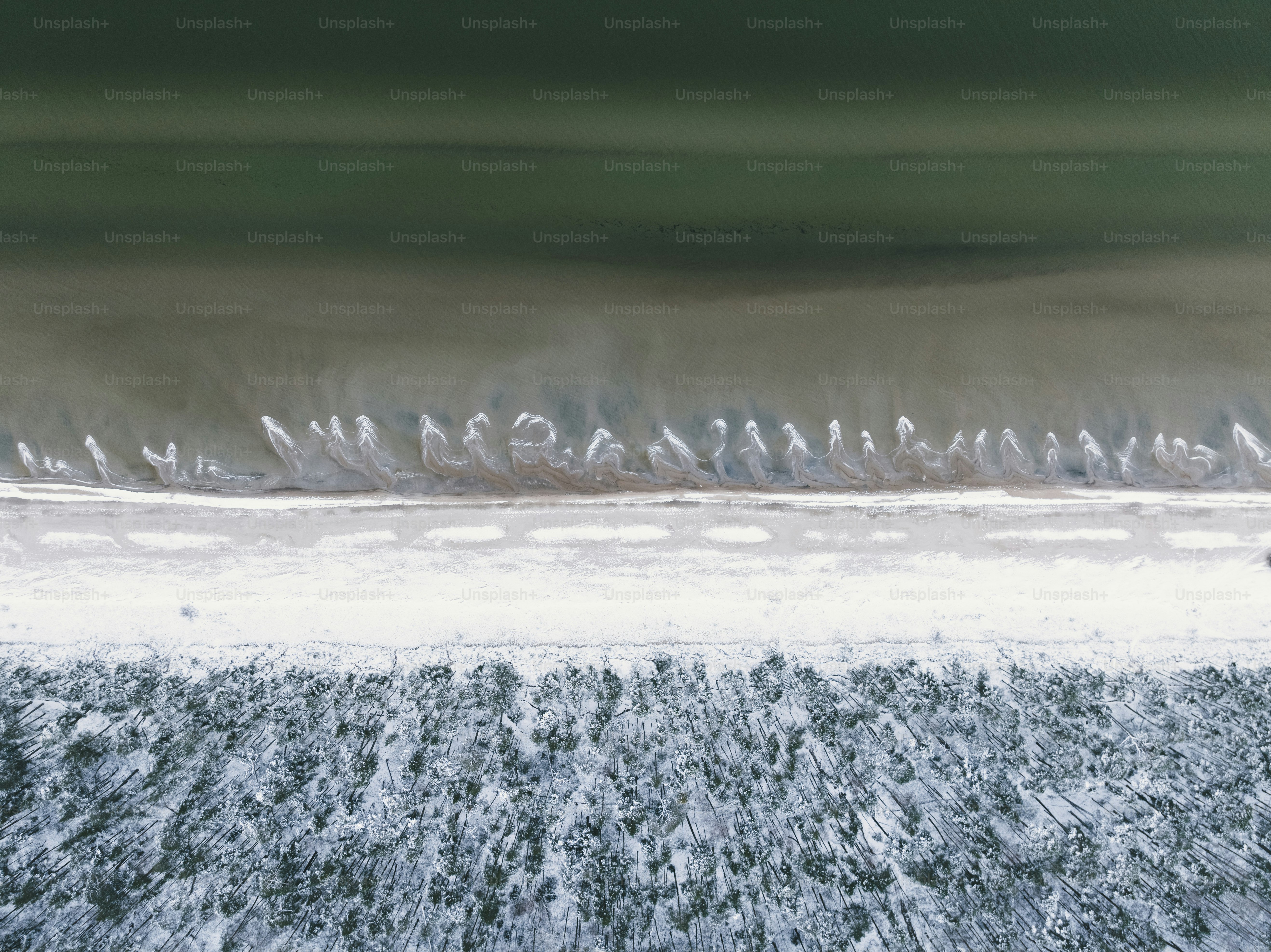 a group of birds on a fence