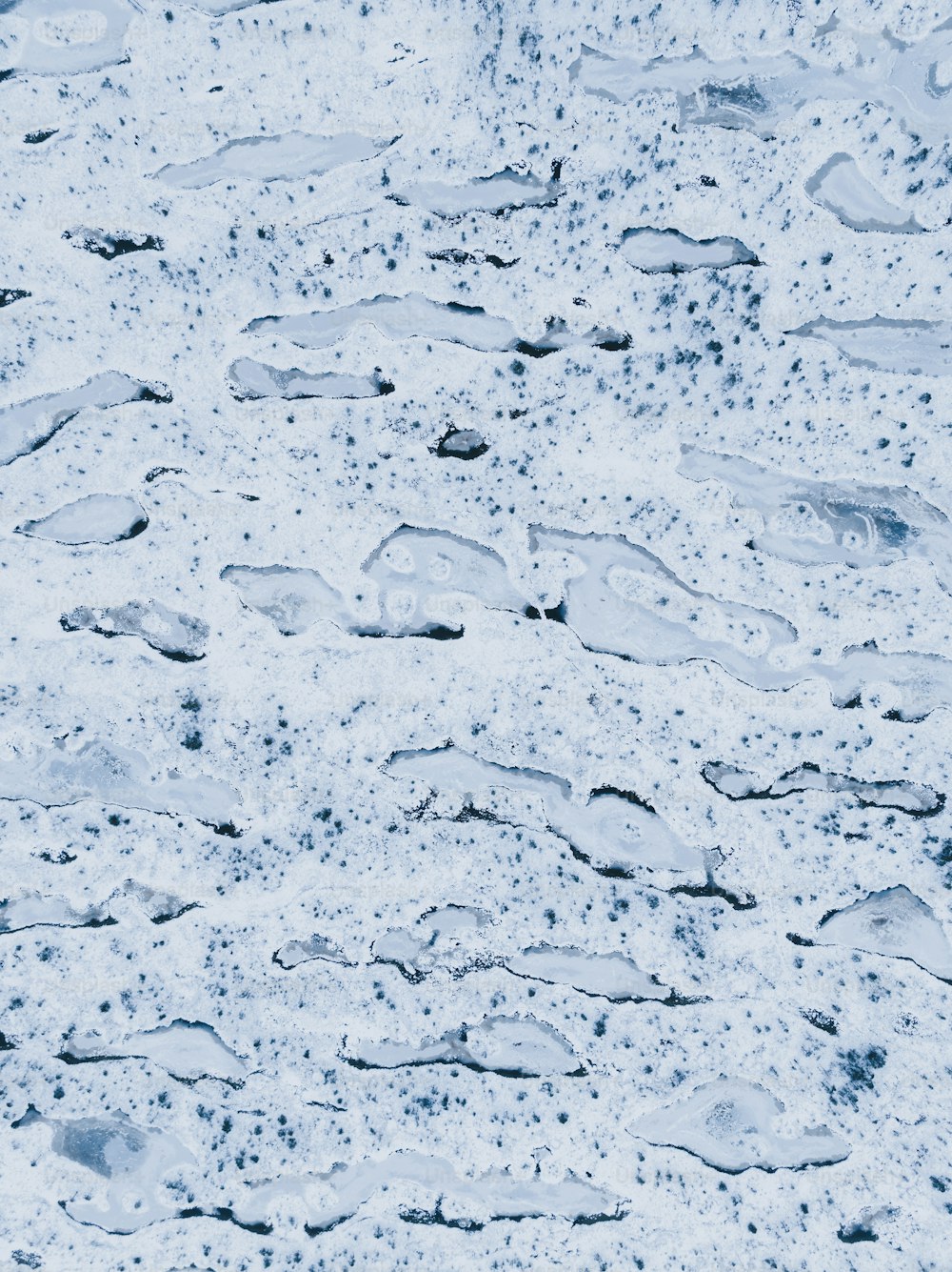 um close-up de um pouco de neve