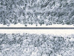 a road with snow on the side