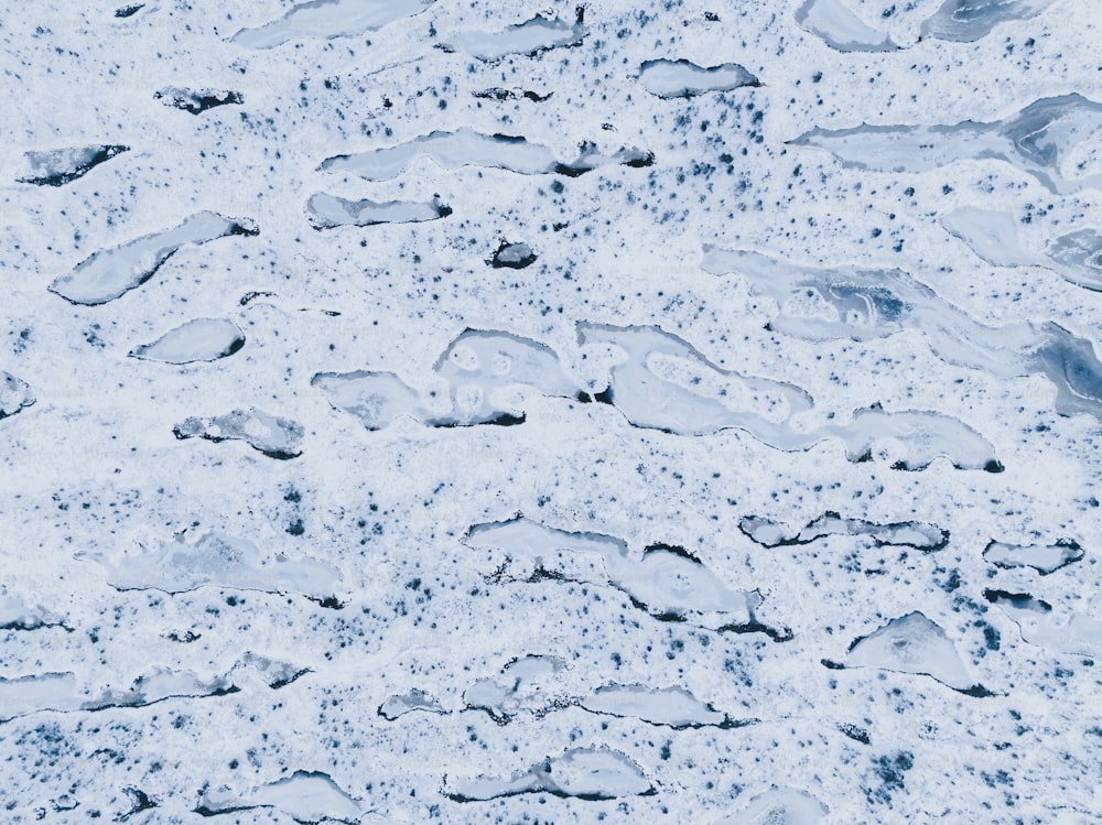 um chão coberto de neve