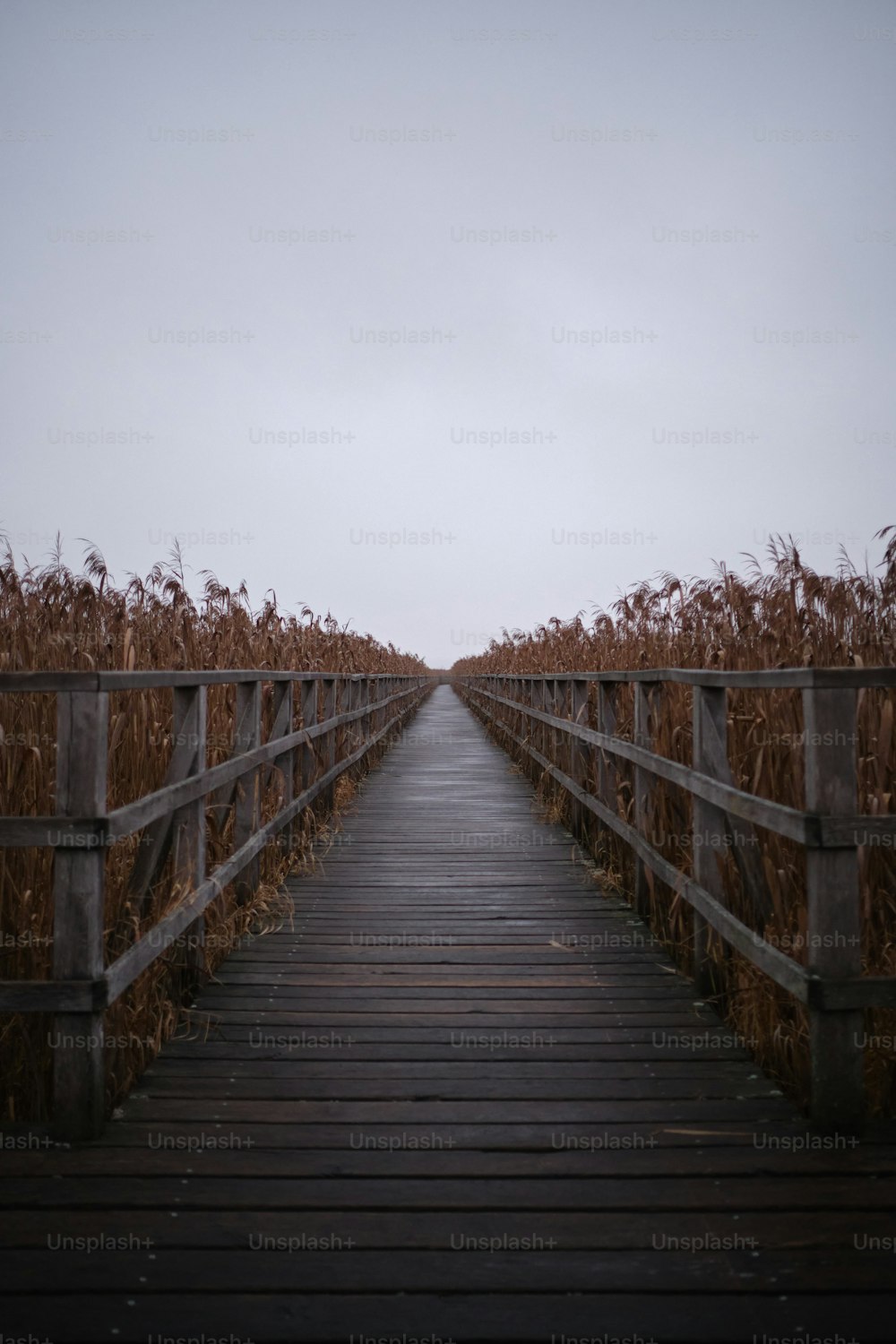 un ponte di legno sull'acqua