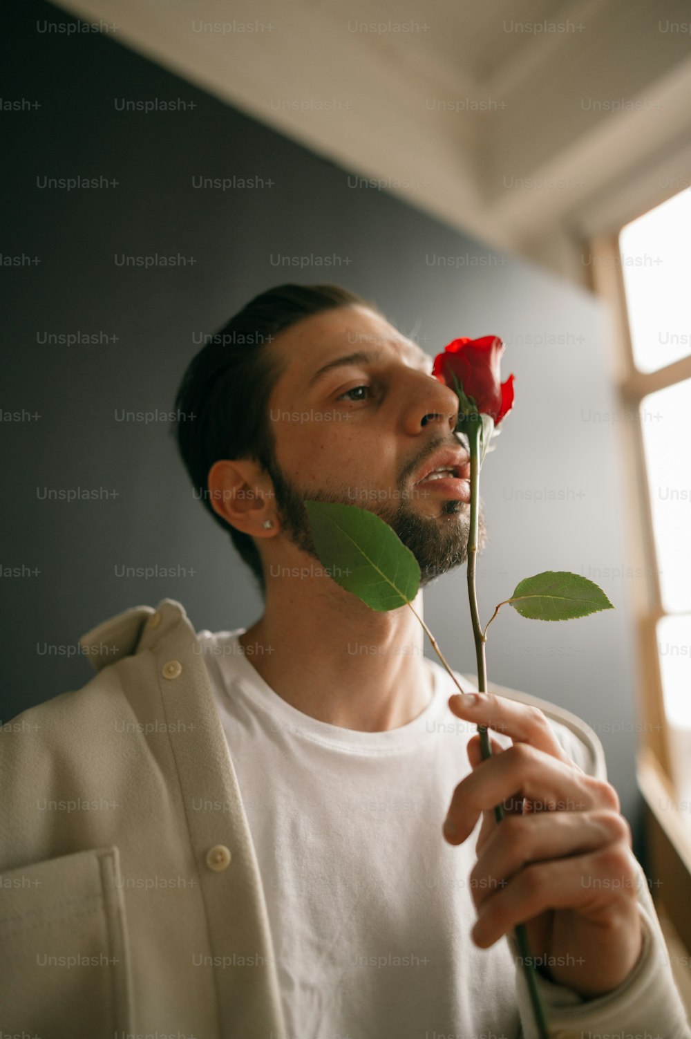 una persona che tiene una rosa