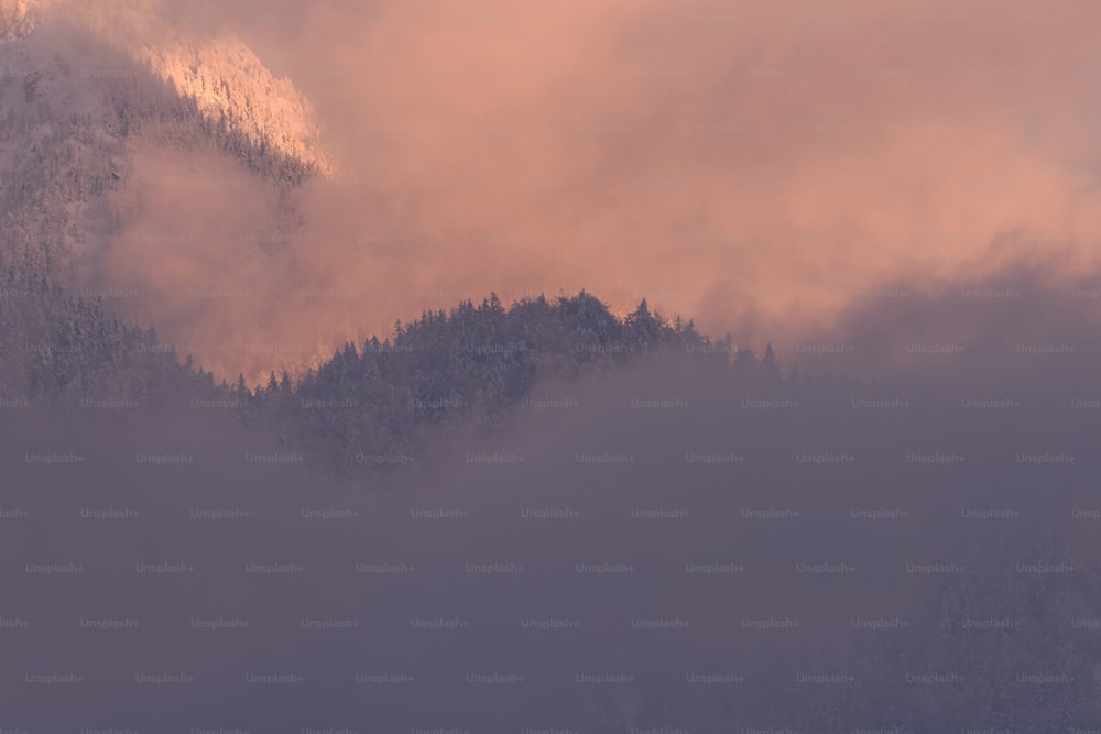 a foggy mountain with trees