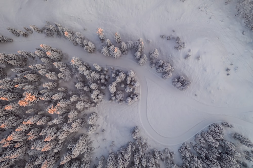 Un paesaggio innevato con una strada