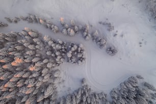 a snowy landscape with a road