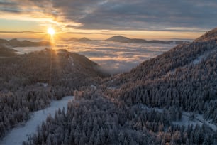 a snowy landscape with trees and a sunset