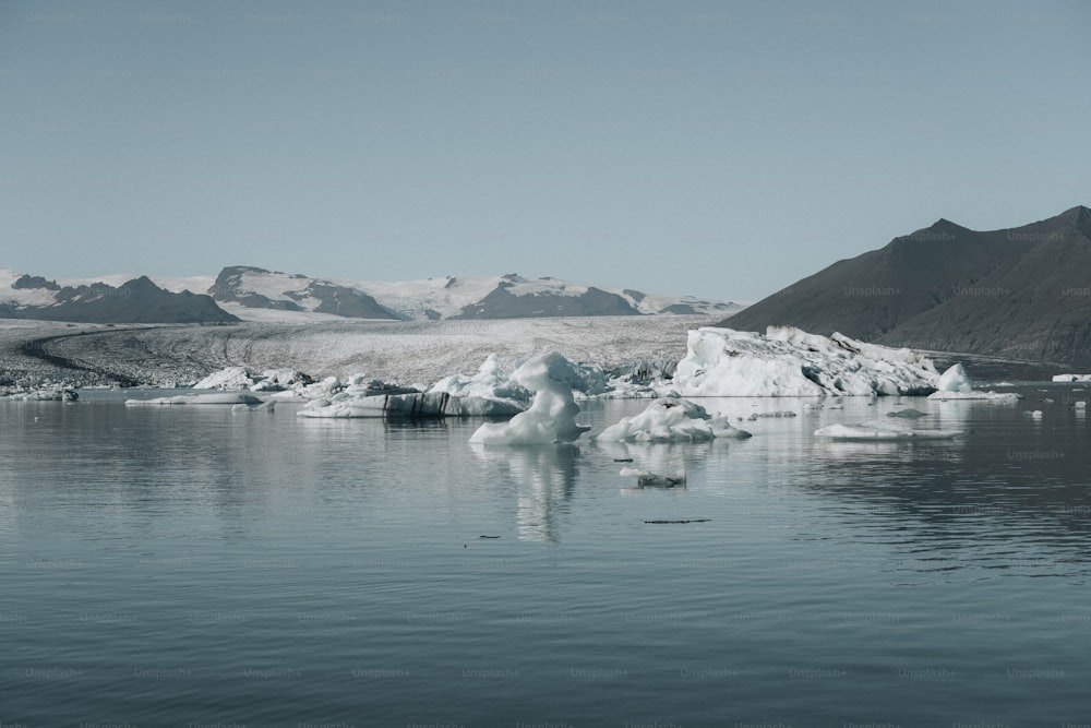 ein Gewässer mit Eisbergen darin