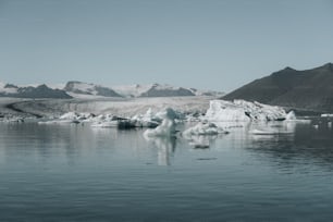 un cuerpo de agua con icebergs en él