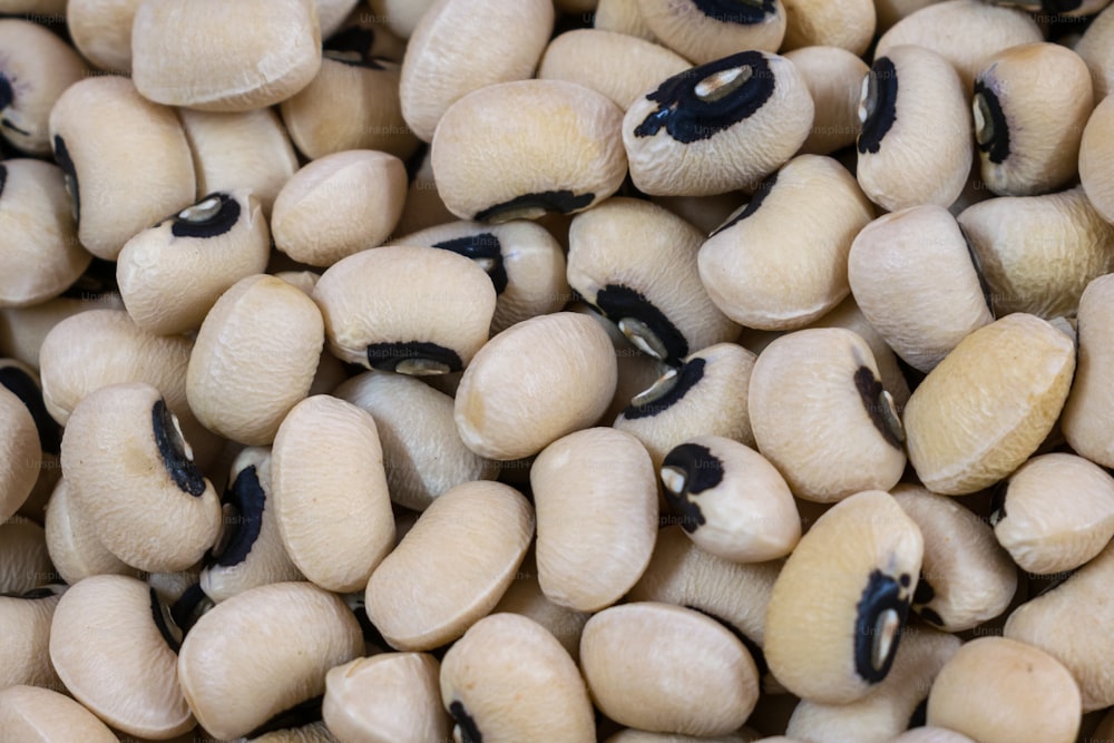 a group of white and black animals