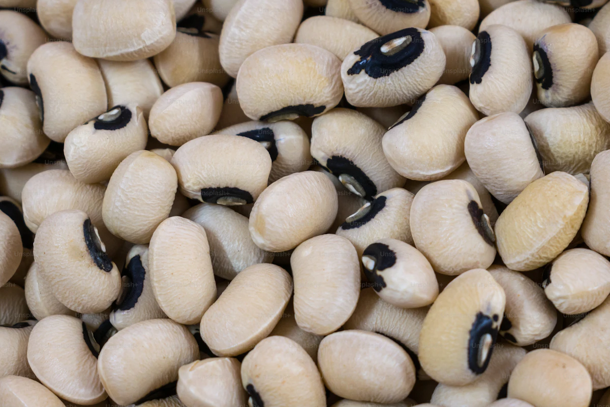 Fresh beans