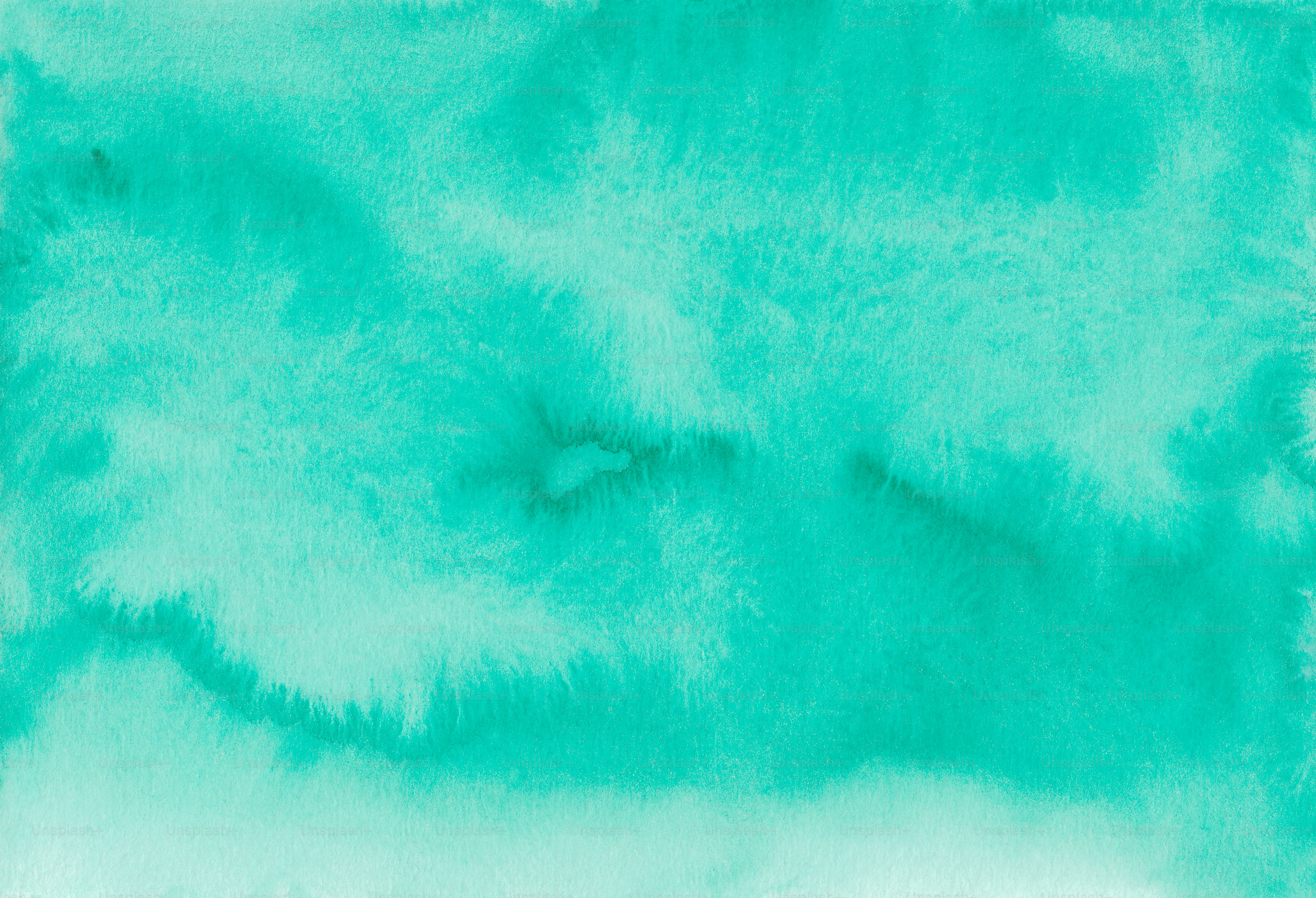 a fish swimming in the water