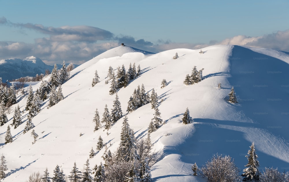 una montaña nevada con árboles con Aspen Highlands al fondo