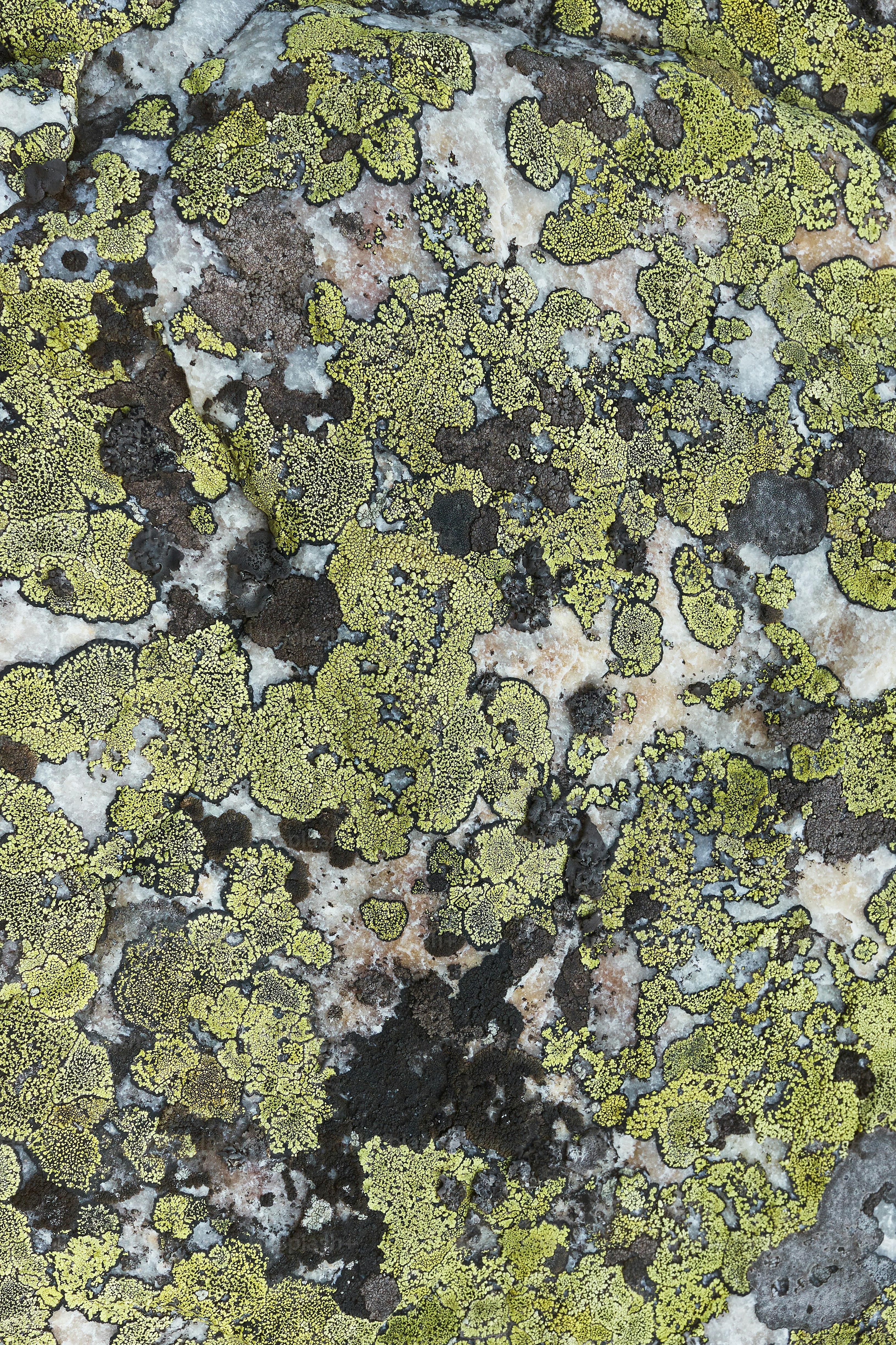 a close up of some rocks