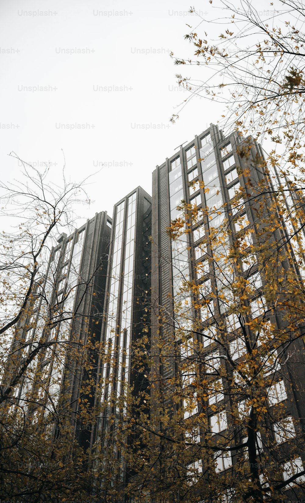 a tall building with trees in front of it