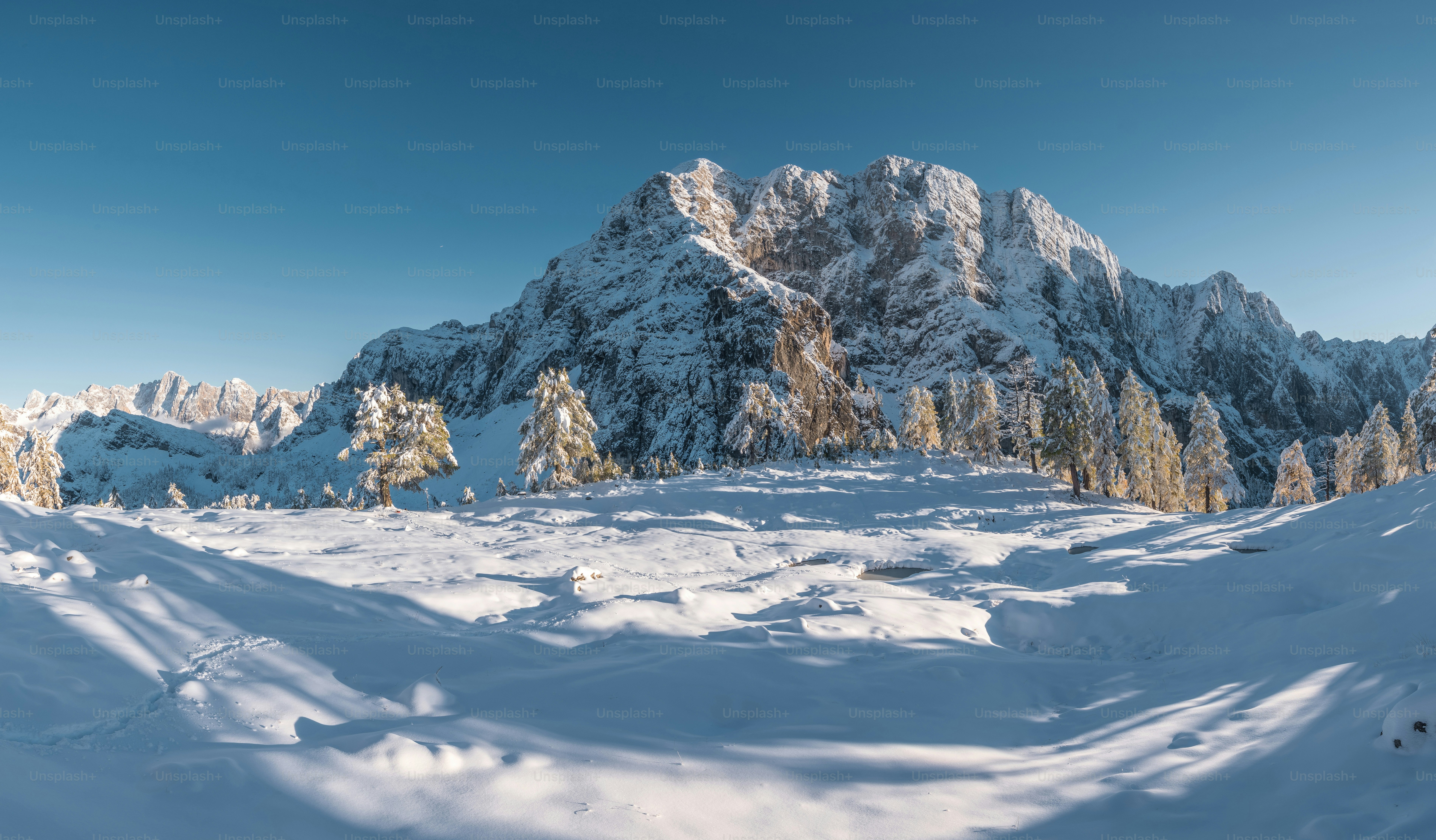 木々のある雪山