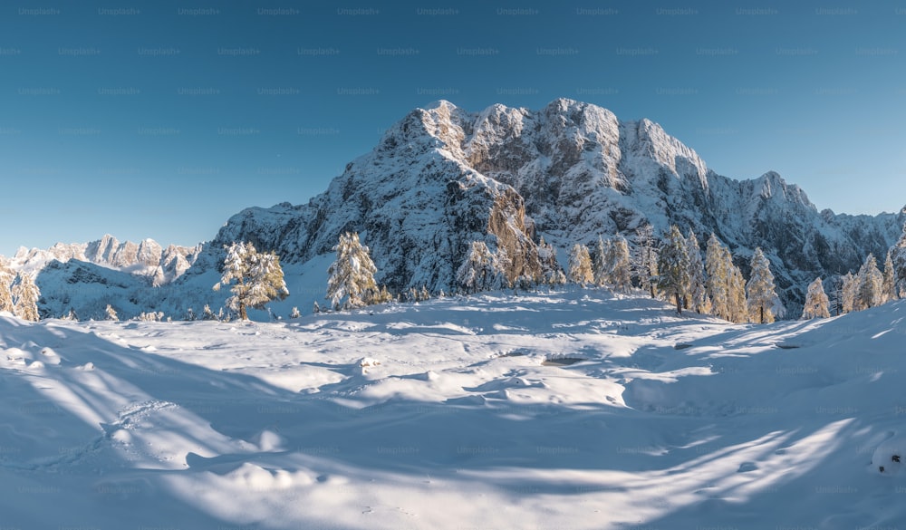 a snowy mountain with trees