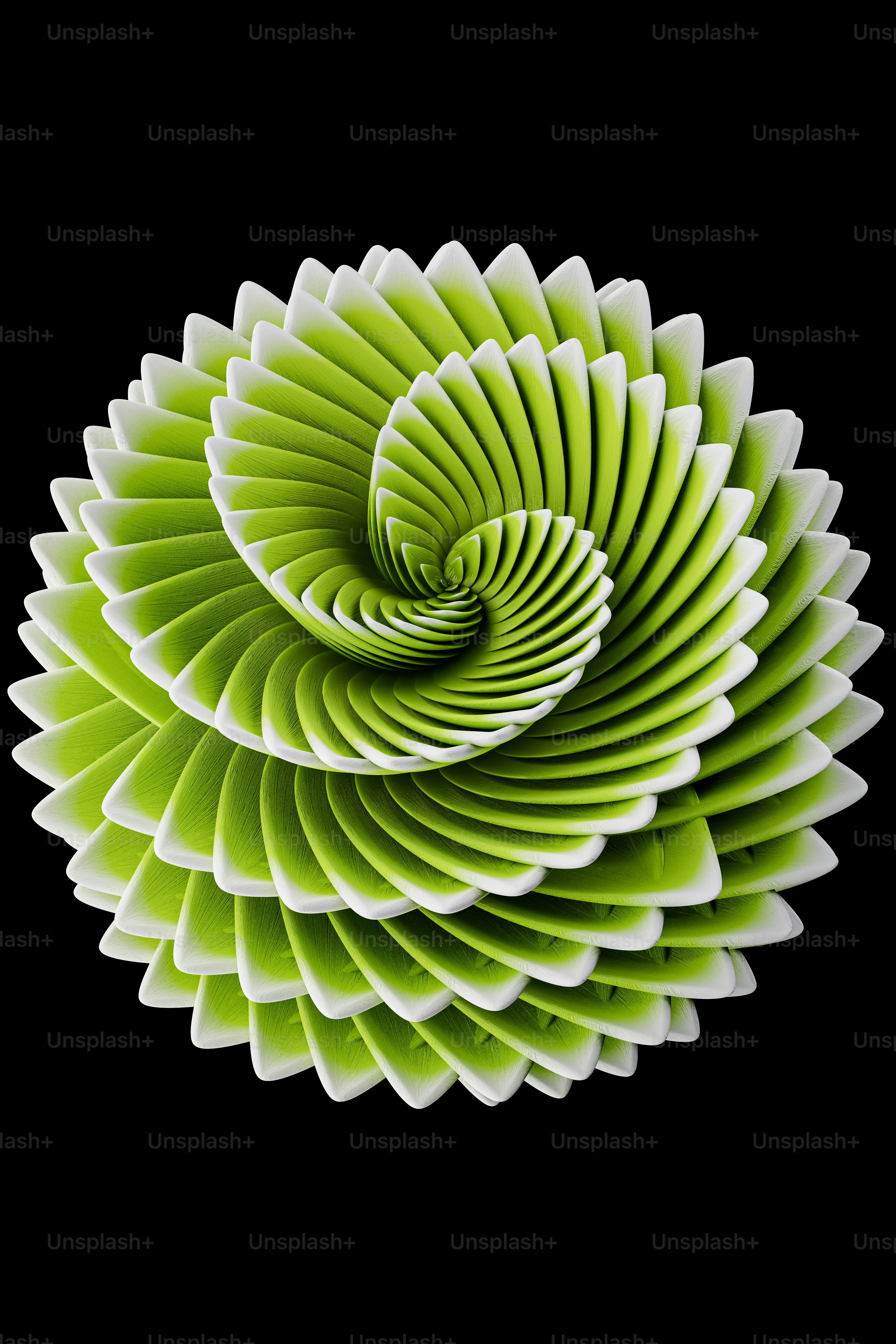 eine grüne Blume mit schwarzem Hintergrund