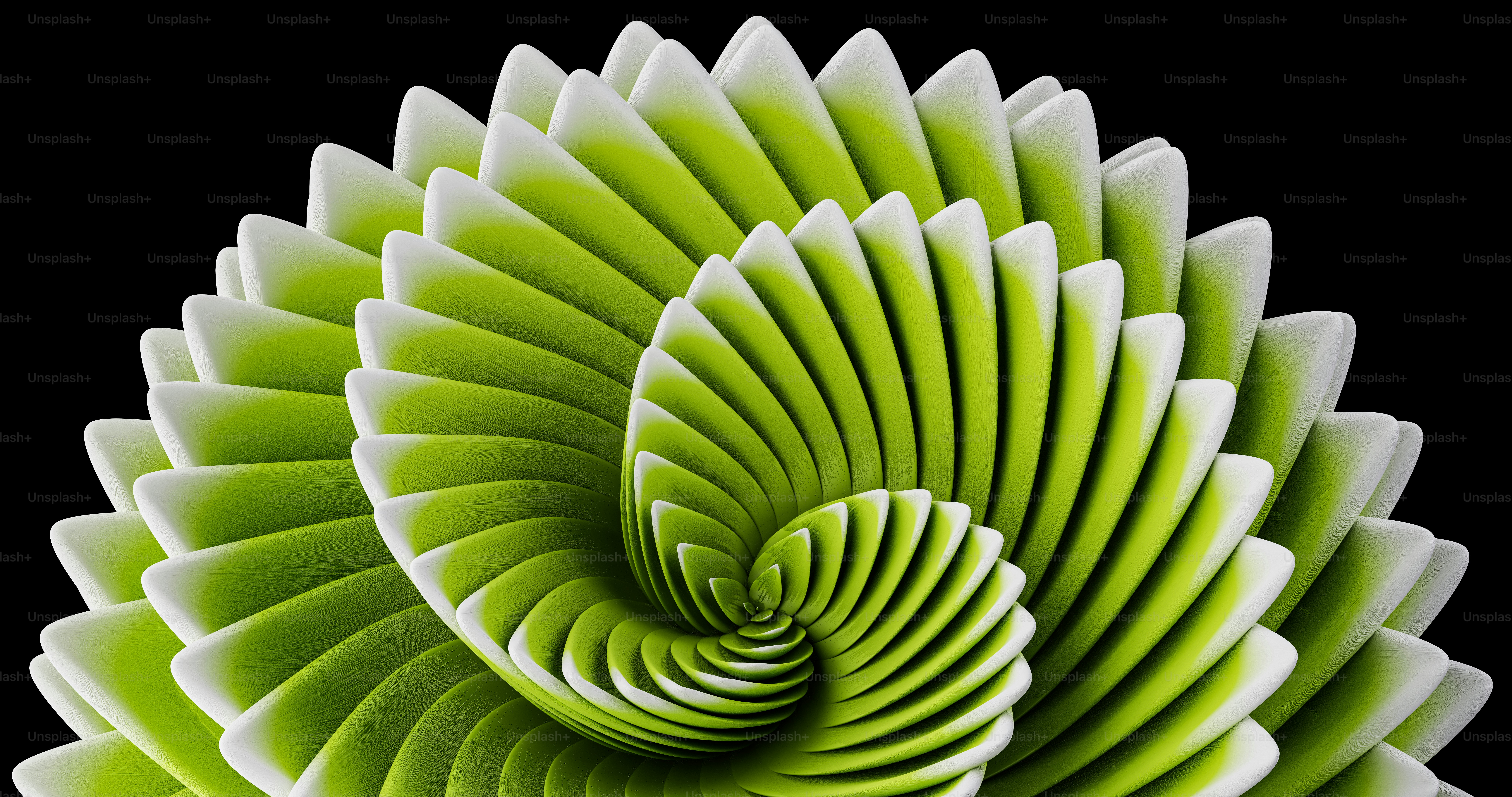 Nahaufnahme einer Grünpflanze