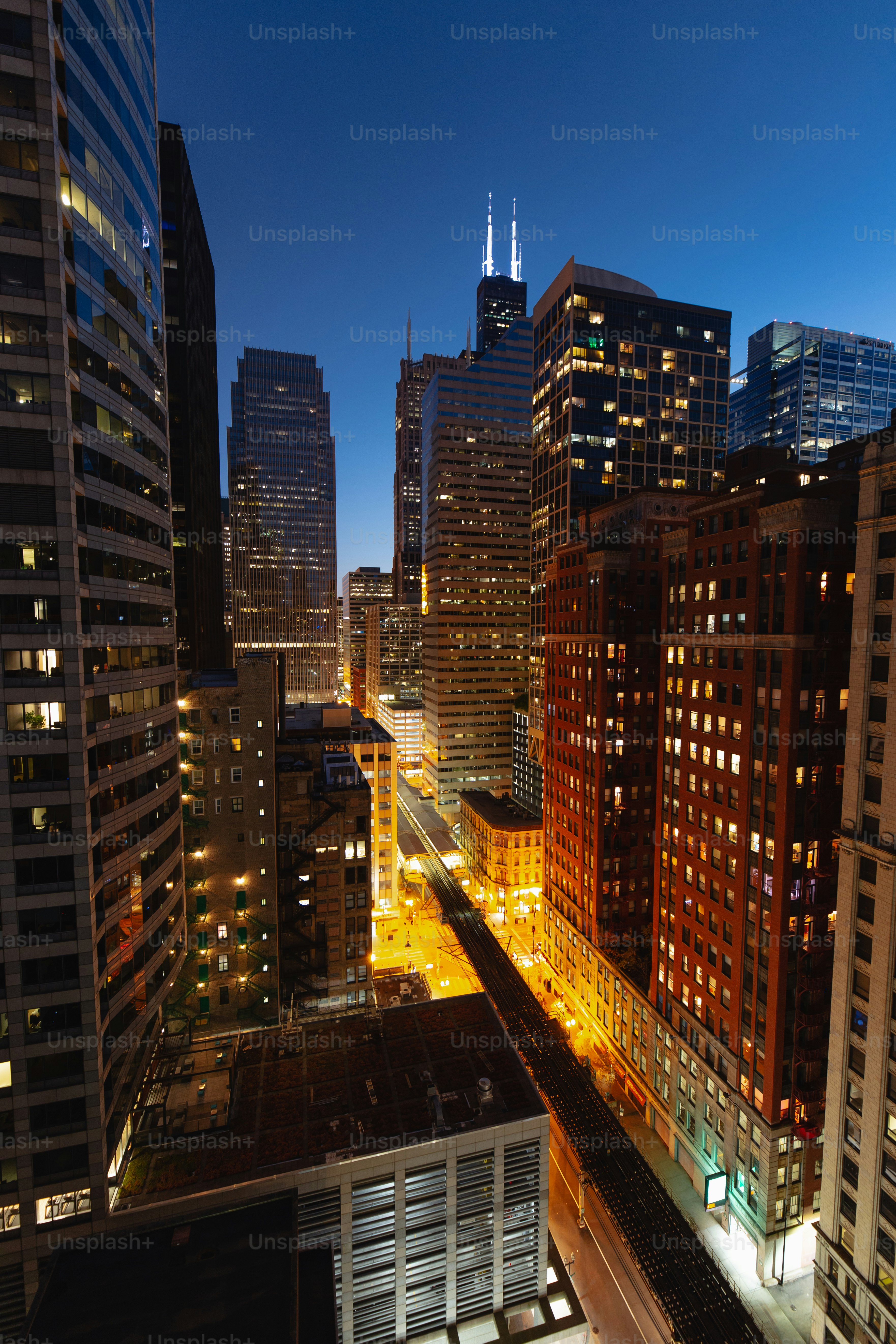 Uncover the Beauty of Chicago’s Waterways with a River Tour Experience