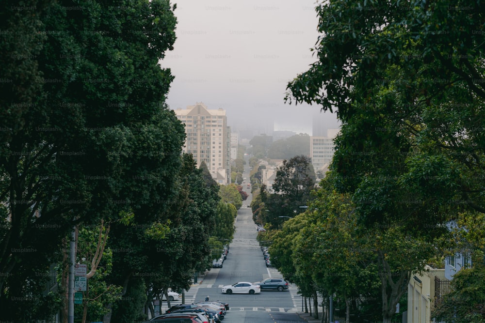 a street with trees and buildings on the side