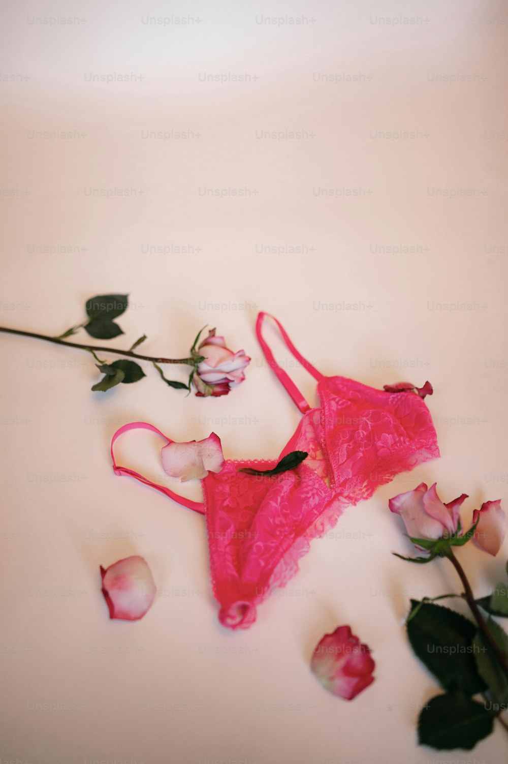 A woman in a pink bra and matching panties photo – Free Lingerie Image on  Unsplash