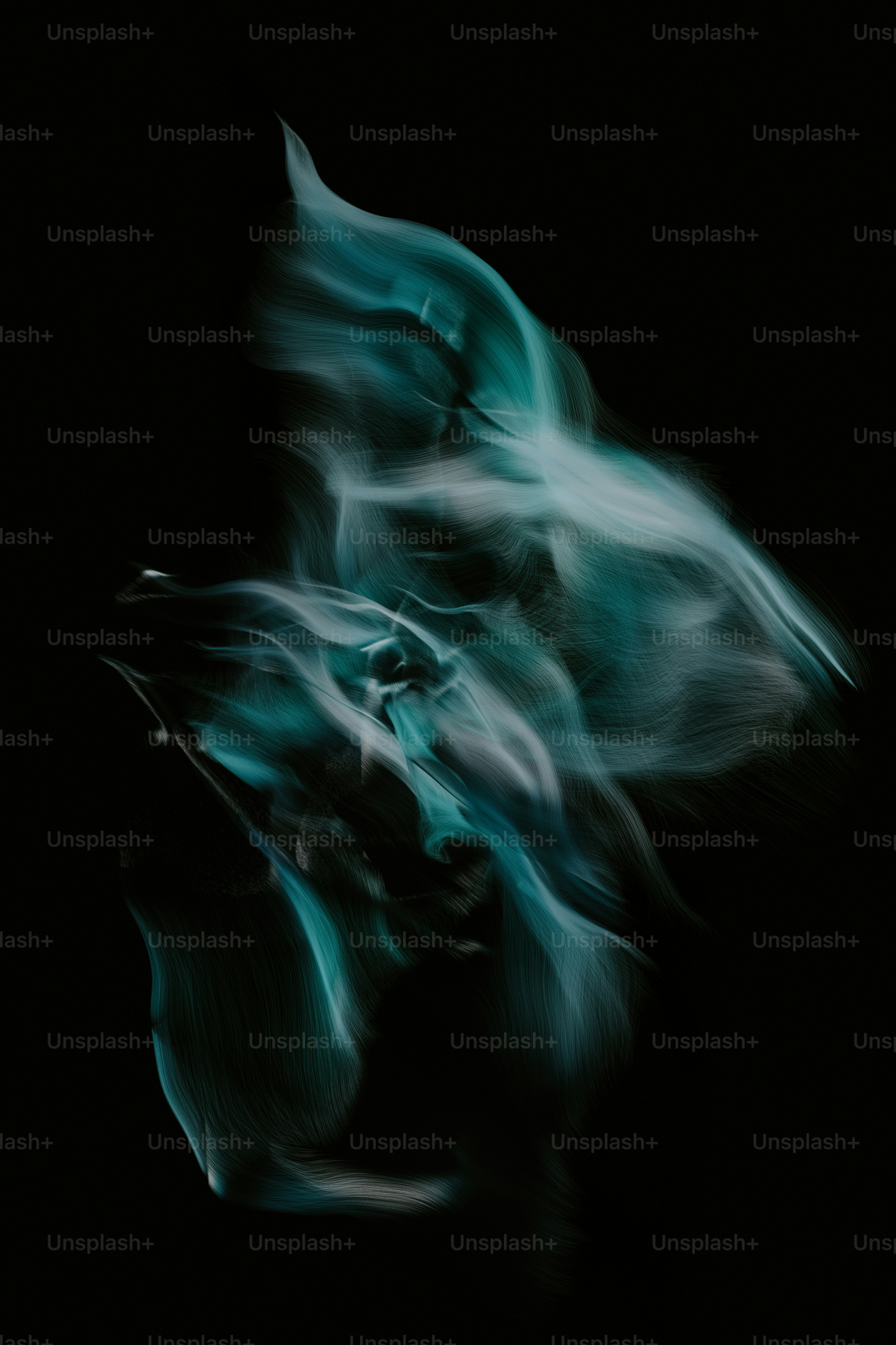 a blurry photo of a black and white animal